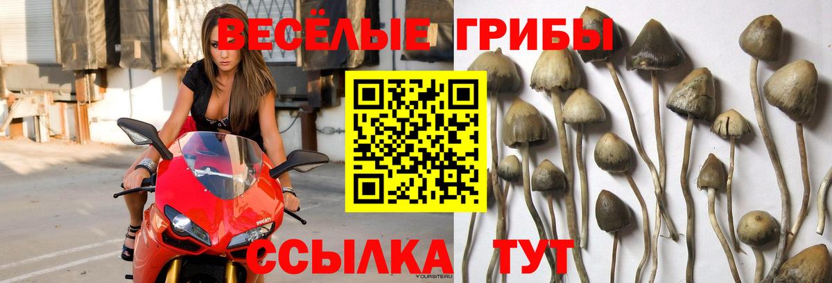Ишимбай  Марихуана  Амфетамин кристаллы  Вход с VPN  Меф   NBOMe  КОКАИН  APVP СК кристаллы 